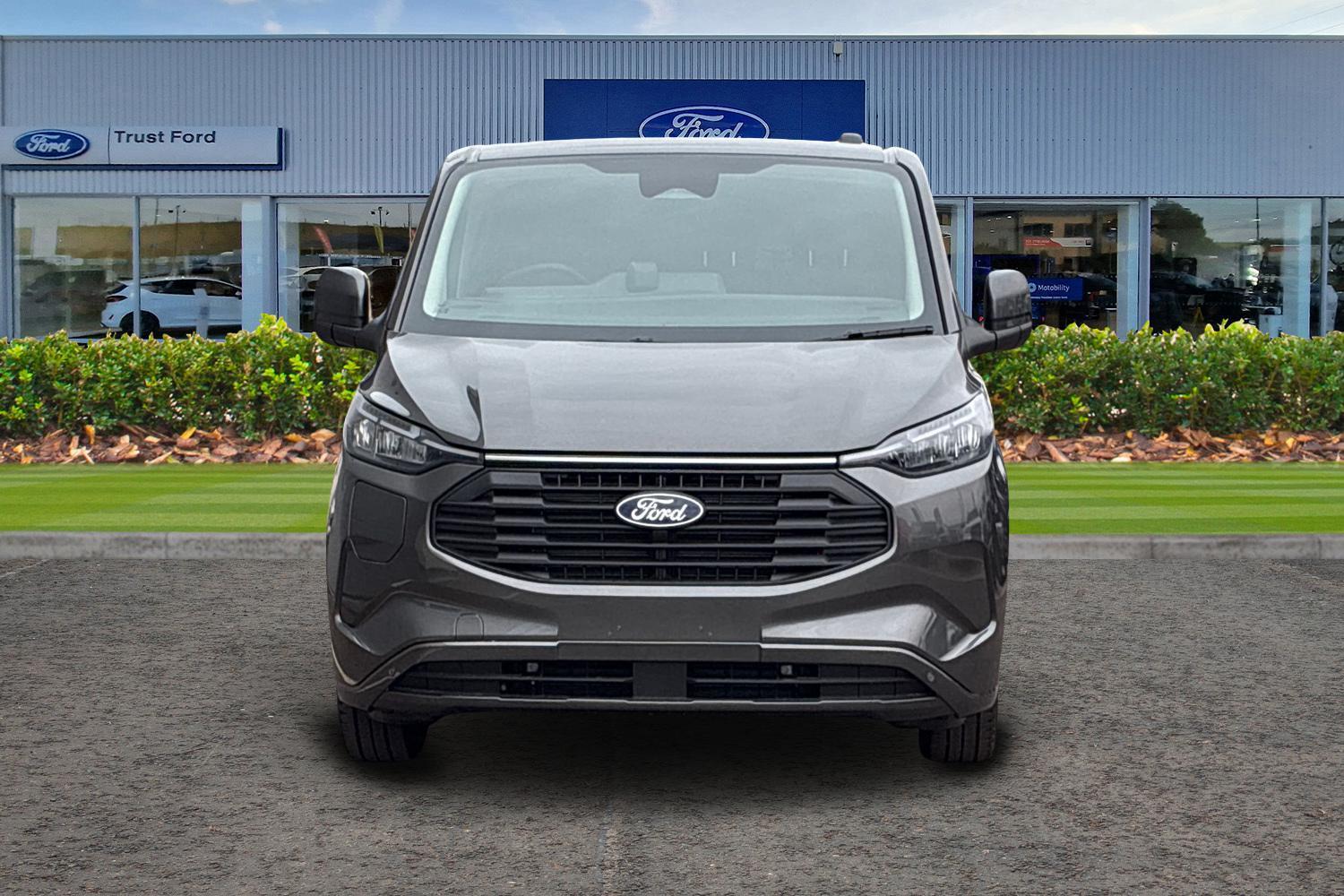 Ford CUSTOM Photo 11