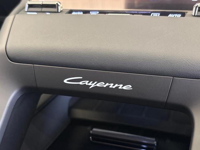 Porsche Cayenne Electric Photo 30