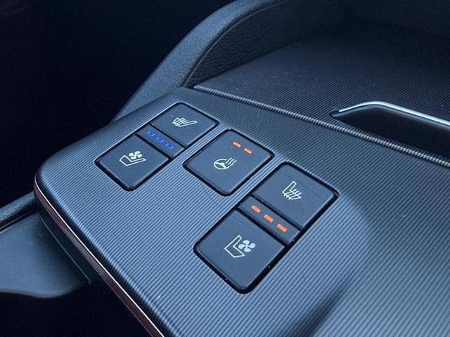 Kia Sportage Photo 710c118a-2b27-4c7c-a9cc-a1bcdbfd654a.jpg