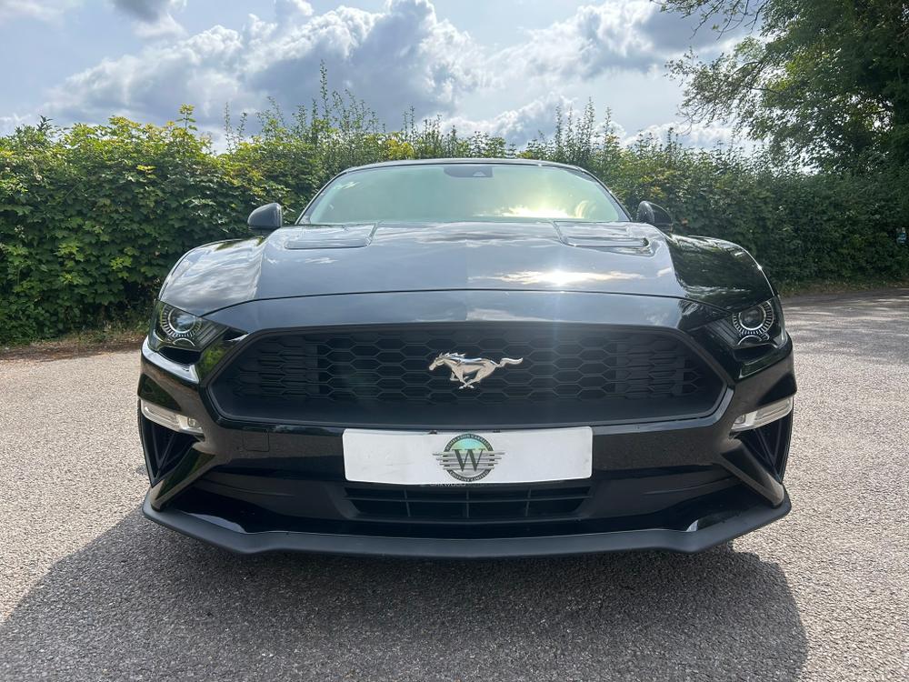 Used Ford Mustang ML20OXK 5