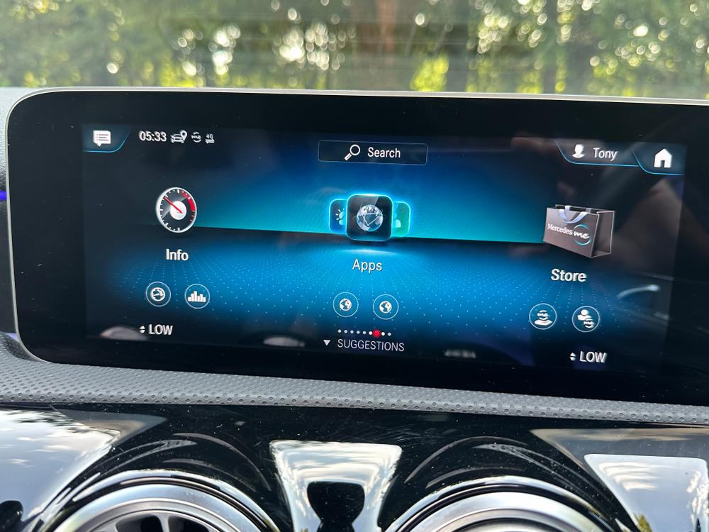 Used Mercedes-Benz A Class GY69LHU 36