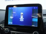 Ford Puma Photo 12