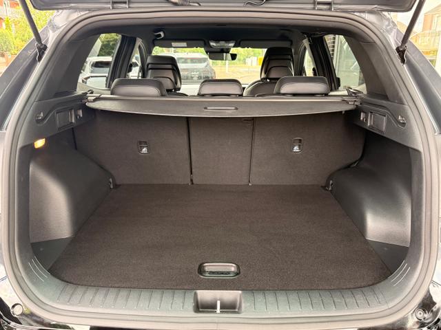 Kia Sportage Photo 73c21533-84de-4a35-af9b-87409c667158.jpg