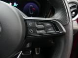 Alfa Romeo Tonale Photo 24