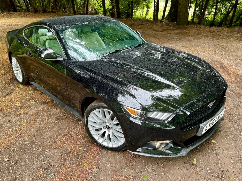 Used Ford Mustang LY16LWJ 13