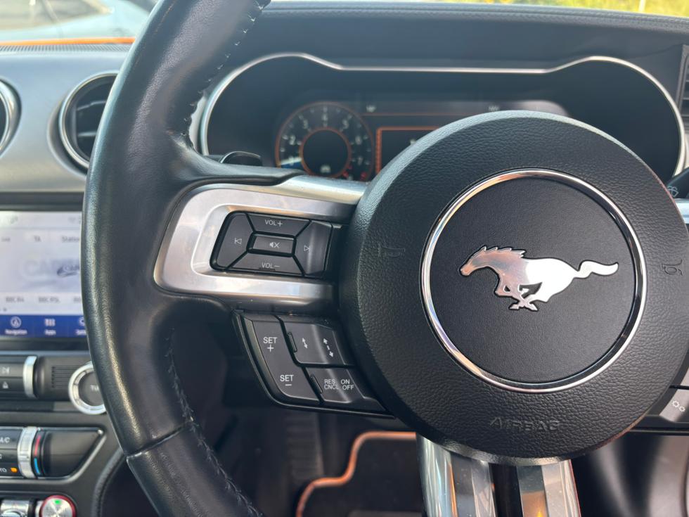 Ford Mustang Photo 798e5607-eb8f-4cd4-98ee-9e44b72c32db.JPEG