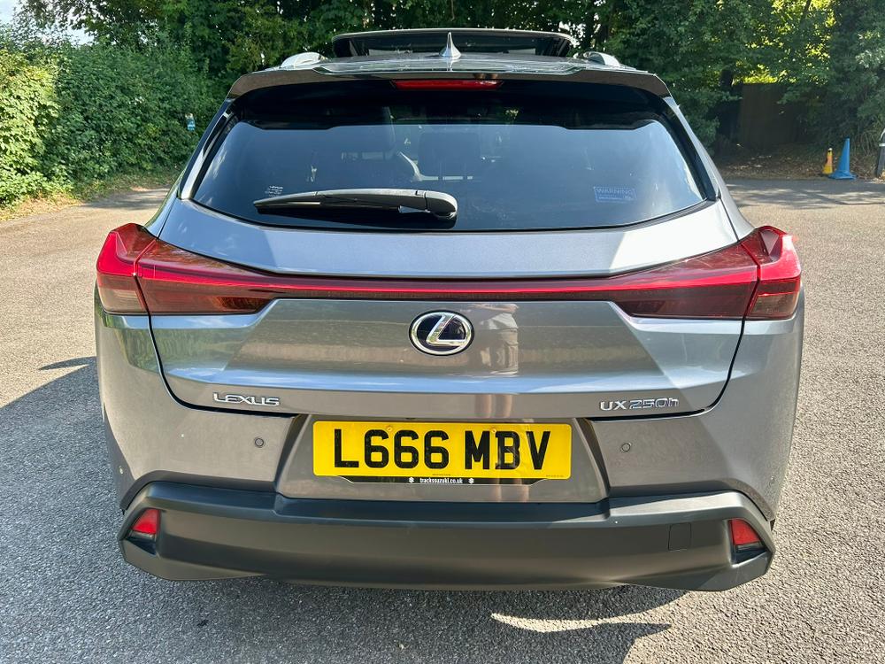 Used Lexus UX L666MBV 13