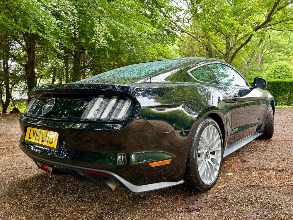 Used Ford Mustang LY16LWJ 15