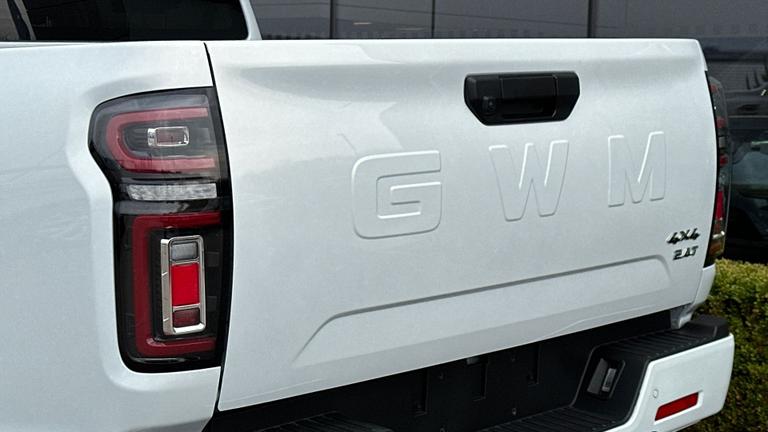 Used GWM POER300 NEW 19