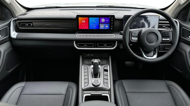 Used GWM POER300 NEW 9