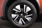 Vauxhall Frontera Electric Photo 19