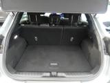 Ford Puma Photo 16