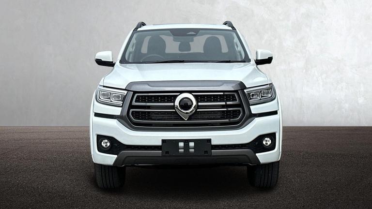 Used GWM POER300 NEW 7