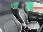 Kia Picanto Photo 11