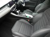 Alfa Romeo Tonale Photo 16