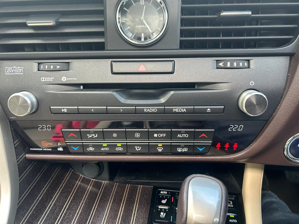 Used Lexus RX DIG8978 41