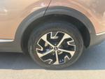 Kia Sportage Photo 15
