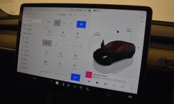 TESLA MODEL Y Photo 7