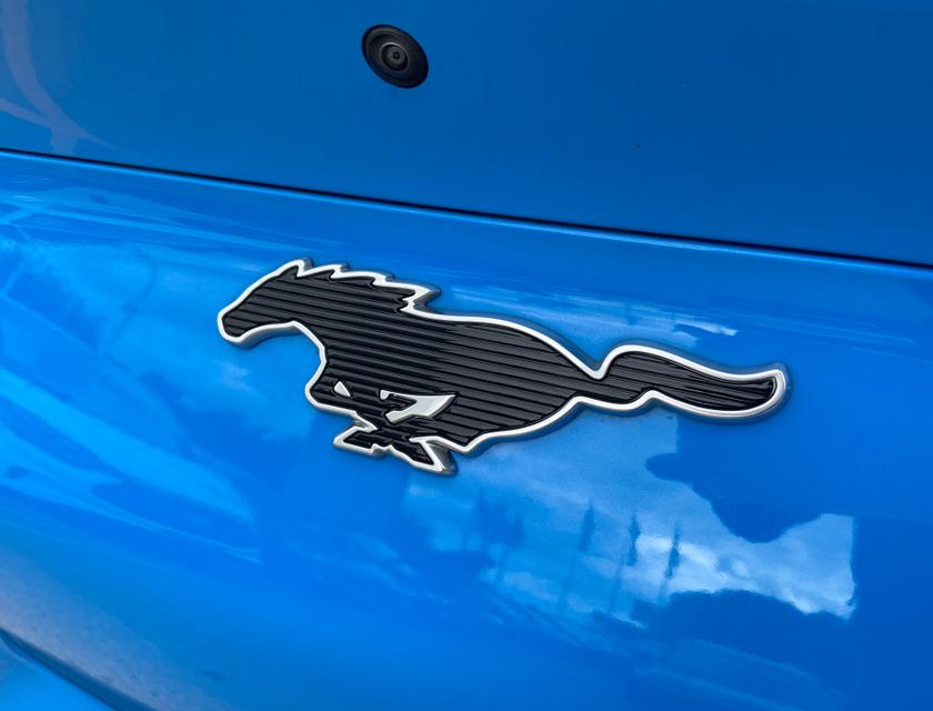 Ford MUSTANG MACH-E Photo a0a87dd9-0d1b-418f-8b12-26325bf98036.jpg