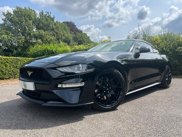 Used Ford Mustang ML20OXK 1