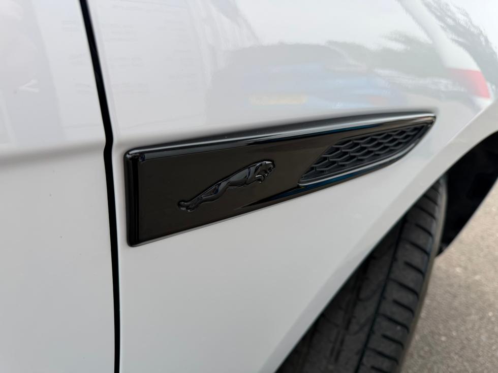 Jaguar F-PACE Photo ad9c2efd-8cf3-4b3a-be22-5950938e8cb8.JPEG