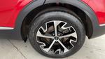 Kia Sportage Photo 14
