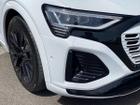 Audi Q8 Photo 33
