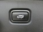 Kia Sportage Photo 10