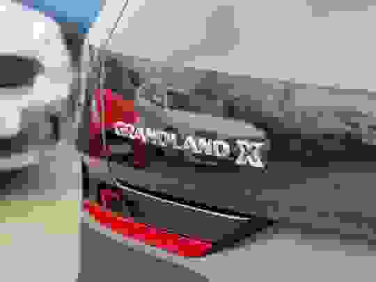 Vauxhall Grandland X Photo at-124033e78ad9487aad3dd6a38a6fa25f.jpg