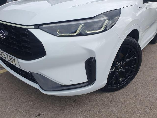 Used Ford Kuga EN25ZDY 13
