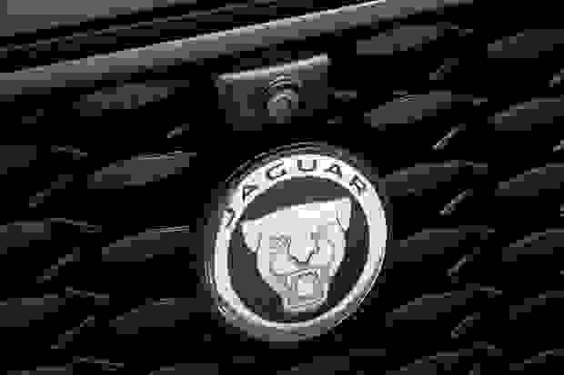 Jaguar F-PACE Photo at-3cb710890e02414d9c2b9be3ad28e435.jpg
