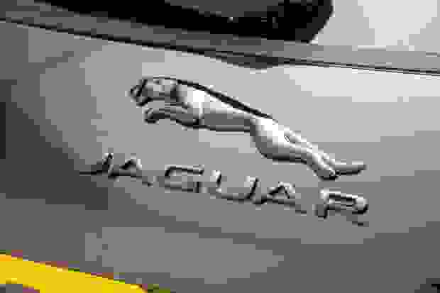 Jaguar F-PACE Photo at-43f0c337d1424967852c494713a3c761.jpg