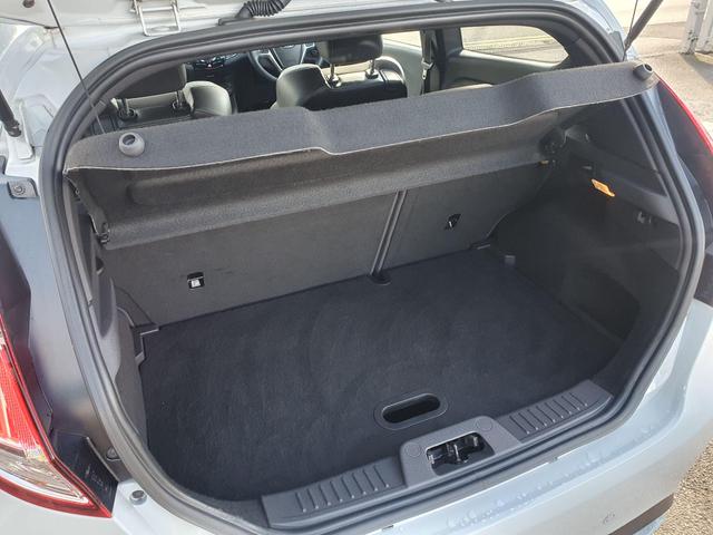 Used Ford Fiesta EX16VFU 37