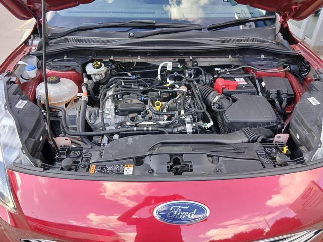 Used Ford Kuga MH23EVK 28