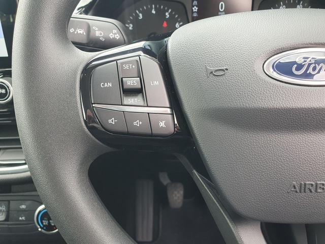 Used Ford Fiesta YT69YTH 25