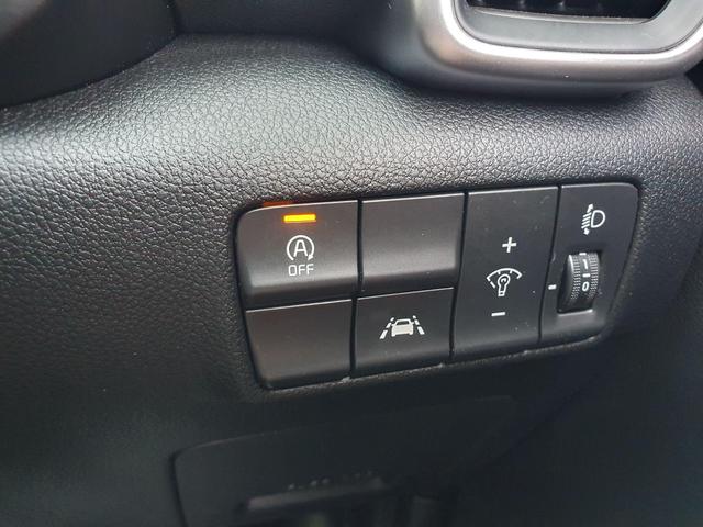 Used Kia Sportage MD19VDP 31