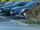 Audi Q3 Photo 31