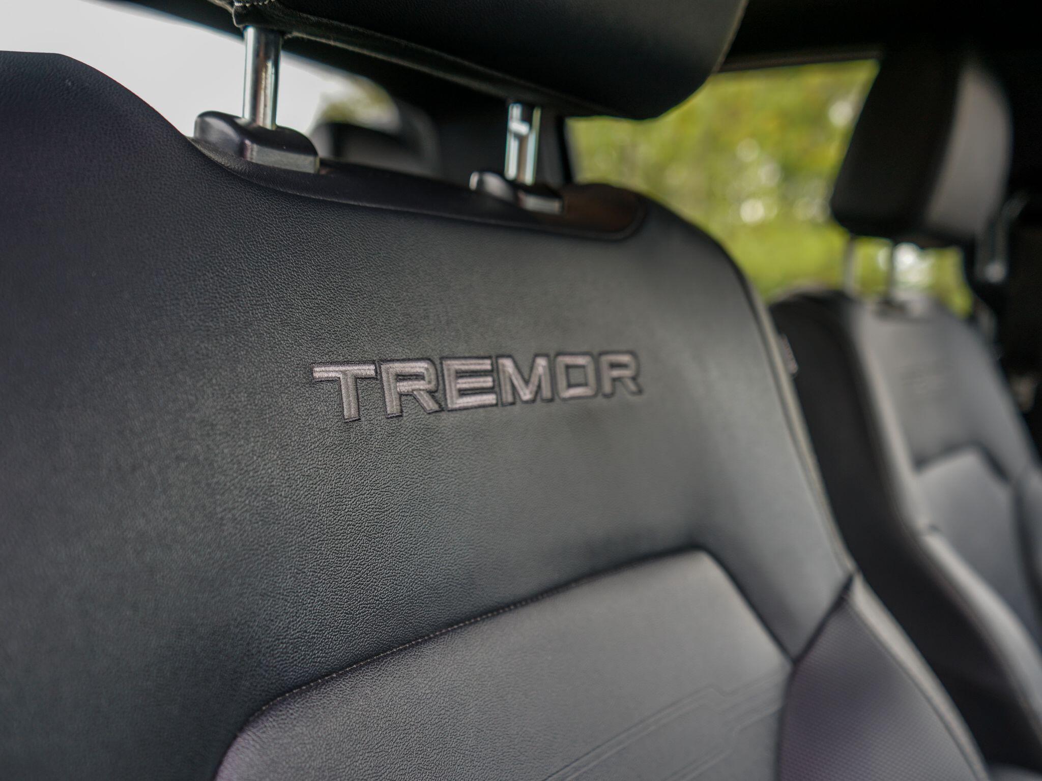 Ford Ranger 2.0 TD EcoBlue Tremor Auto 4WD Euro 6 (s/s) 4dr — photo 19