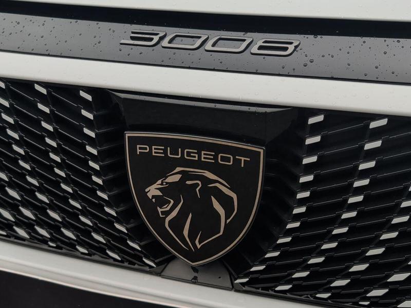 Used Peugeot 3008 202601038903014 31