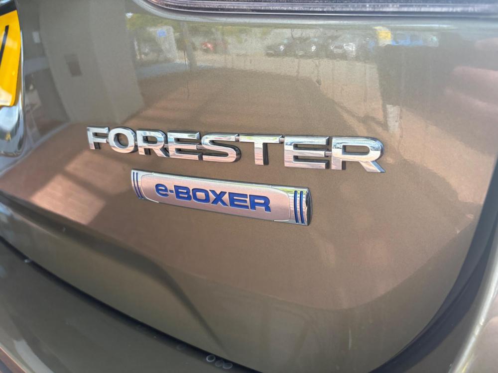 Used Subaru Forester WN24UNY 9