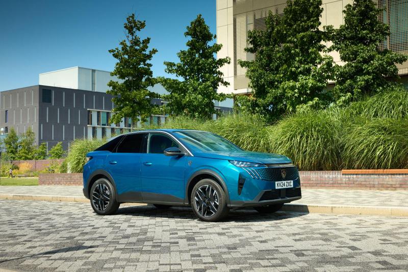 Used Peugeot 3008 202601038903112 9