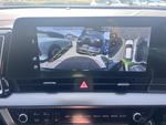 Kia Sportage Photo 14