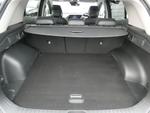 Kia Sportage Photo 8