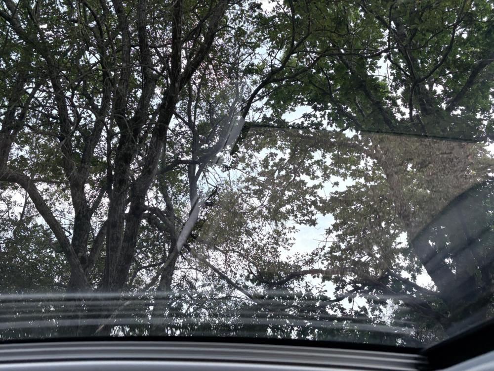 Peugeot 208 Photo at-8cd047585c4b45a2a33e59066df2d77c.jpg