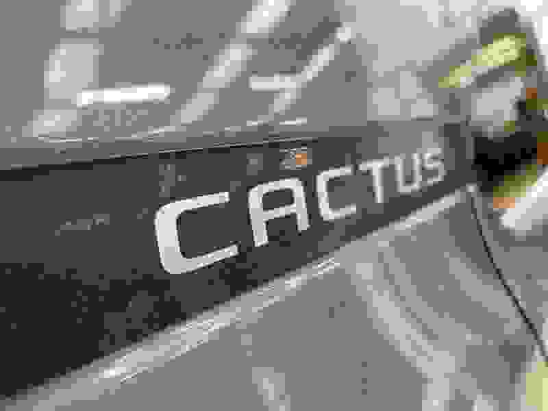 Citroen C4 Cactus Photo at-937fdf29d4734df08c2471097b276d5b.jpg