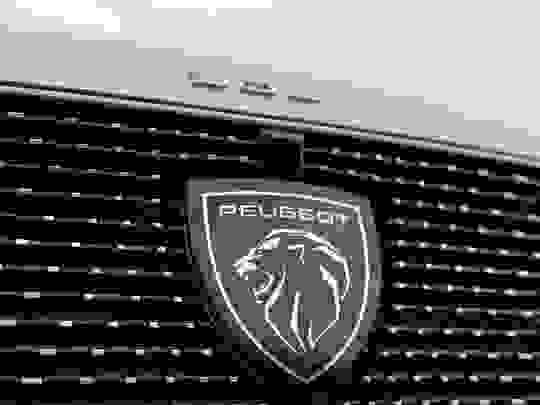 Peugeot E-308 Photo at-9d4581e1cb3d478eae8073c99b85b17b.jpg