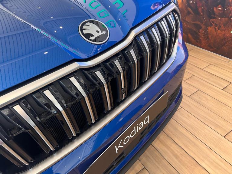 Used Skoda Kodiaq 202604291977326 27