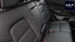 Kia Sportage Photo 14