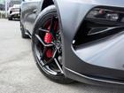 LOTUS Emeya Photo 10