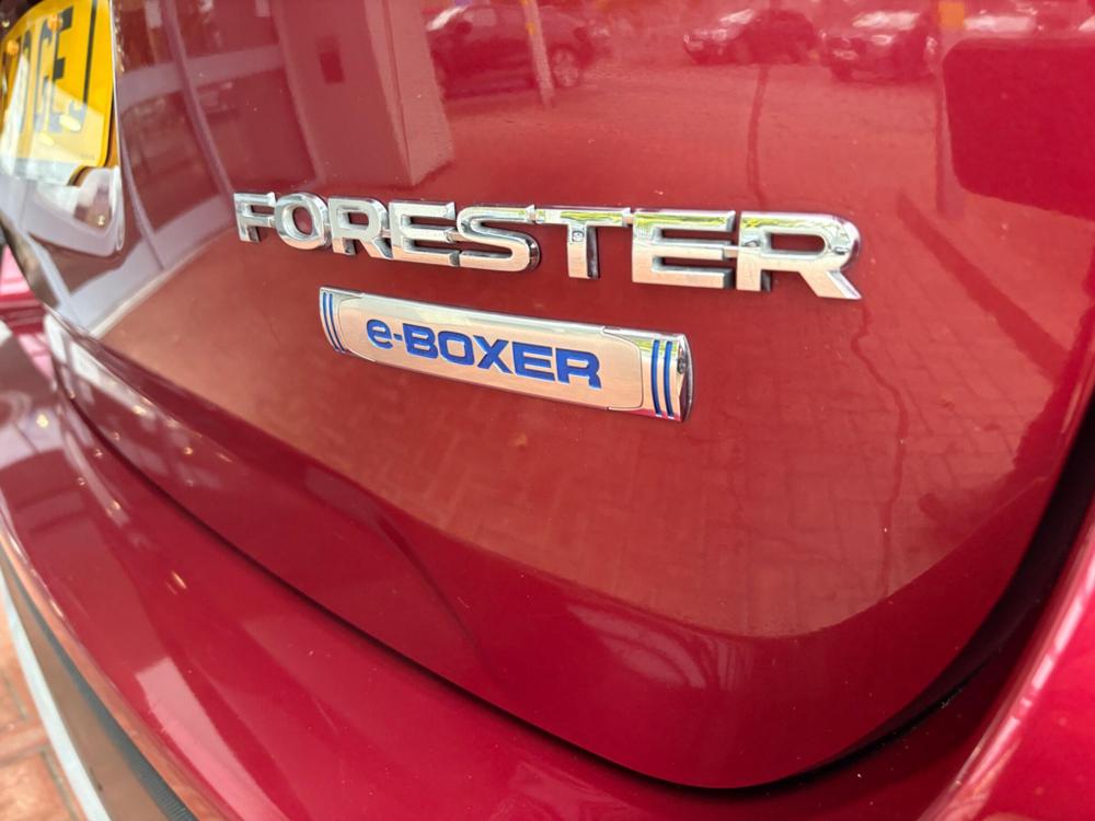 Used Subaru Forester RK70GEJ 12